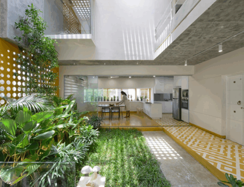 Espais outdoor d’interior: com integrar la natura dins casa amb estil
